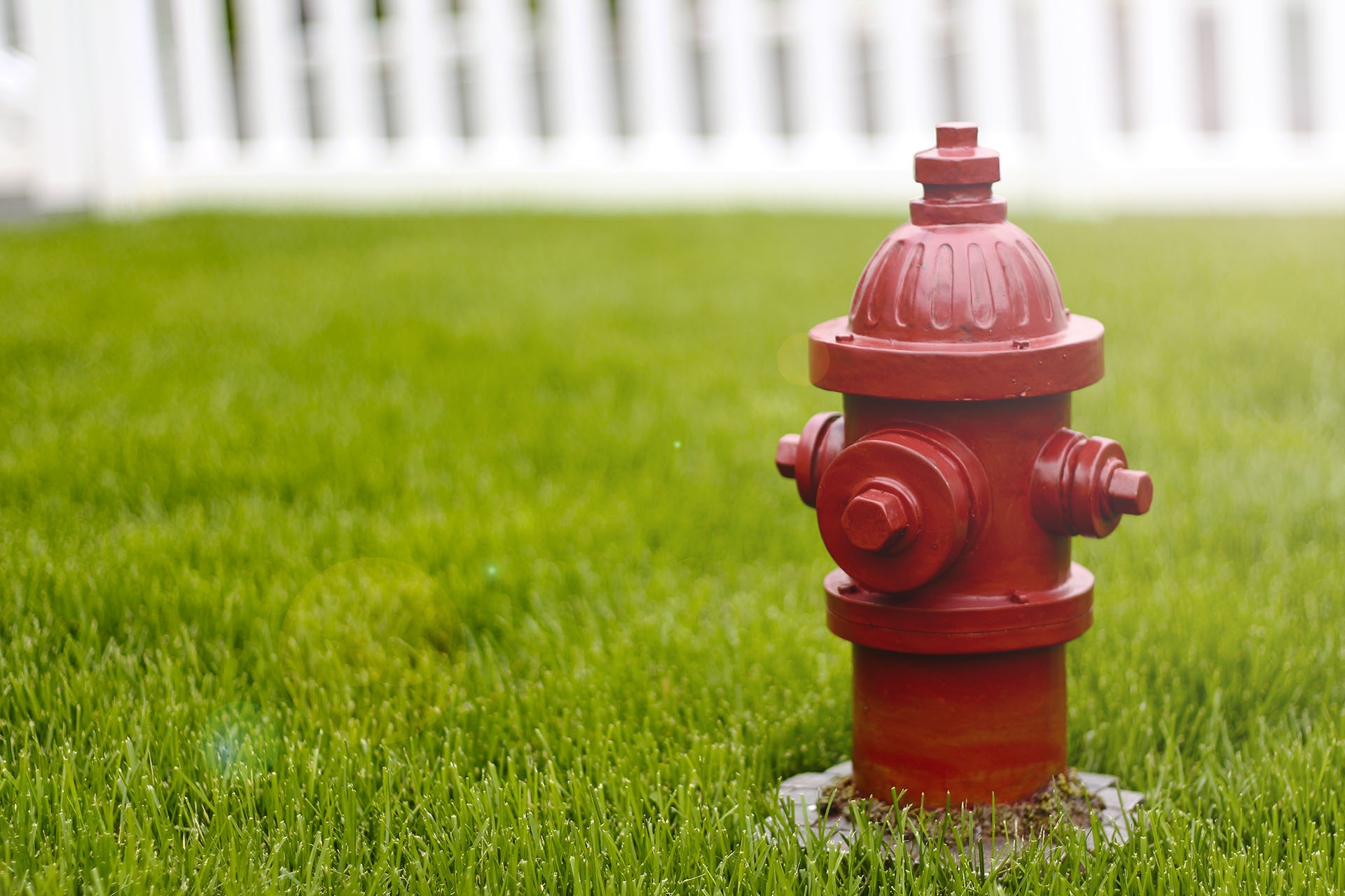 Did You Know? Fire Hydrant Colors Actually Mean Something!